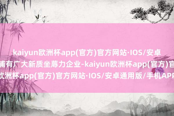 kaiyun欧洲杯app(官方)官方网站·IOS/安卓通用版/手机APP下载杨浦有广大新质坐蓐力企业-kaiyun欧洲杯app(官方)官方网站·IOS/安卓通用版/手机APP下载