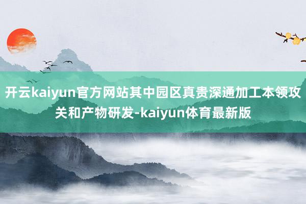 开云kaiyun官方网站其中园区真贵深通加工本领攻关和产物研发-kaiyun体育最新版