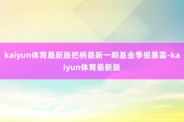 kaiyun体育最新版把柄最新一期基金季报暴露-kaiyun体育最新版