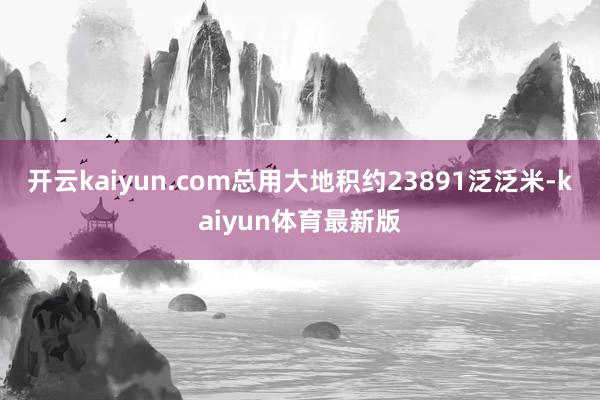 开云kaiyun.com总用大地积约23891泛泛米-kaiyun体育最新版