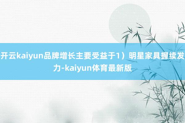 开云kaiyun品牌增长主要受益于1)明星家具握续发力-kaiyun体育最新版