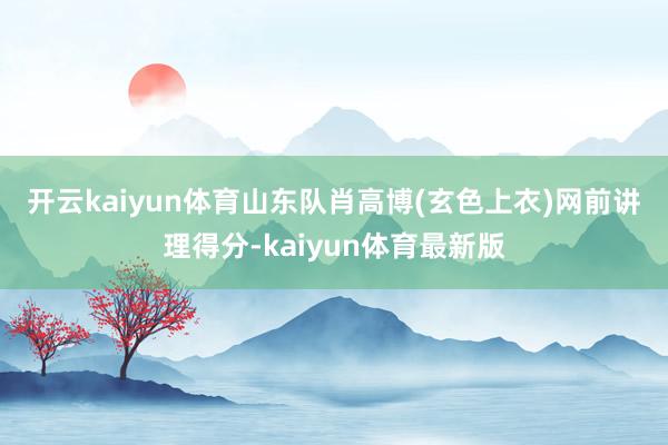开云kaiyun体育 山东队肖高博(玄色上衣)网前讲理得分-kaiyun体育最新版