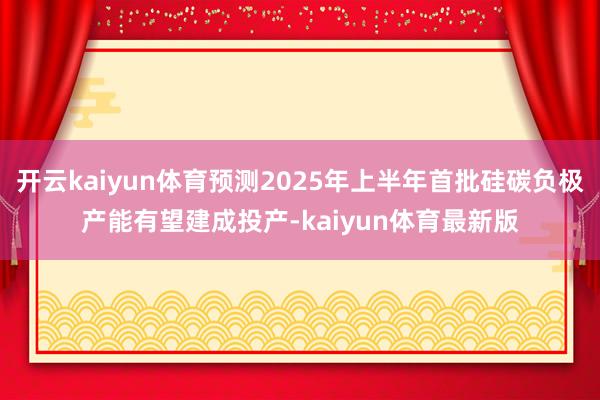 开云kaiyun体育预测2025年上半年首批硅碳负极产能有望建成投产-kaiyun体育最新版