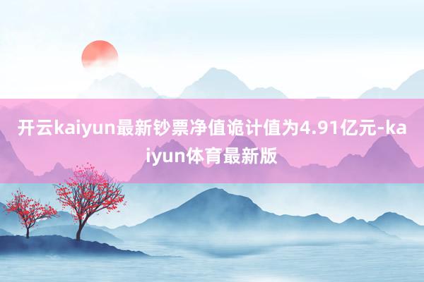 开云kaiyun最新钞票净值诡计值为4.91亿元-kaiyun体育最新版