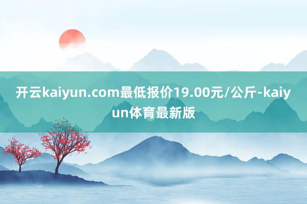 开云kaiyun.com最低报价19.00元/公斤-kaiyun体育最新版
