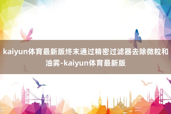 kaiyun体育最新版终末通过精密过滤器去除微粒和油雾-kaiyun体育最新版